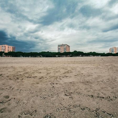 Studio Les Pieds Dans L'Eau Argeles Sur Mer Exterior foto