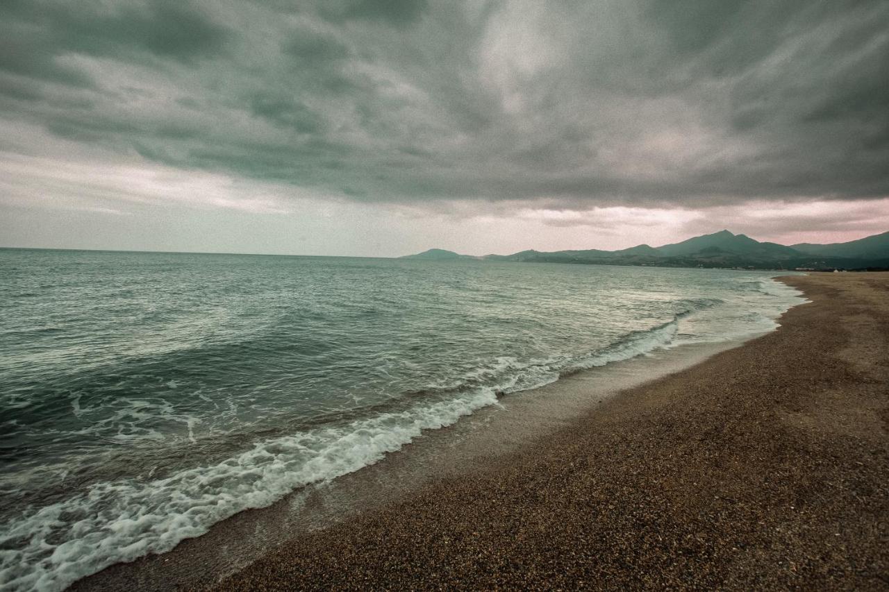 Studio Les Pieds Dans L'Eau Argeles Sur Mer Exterior foto