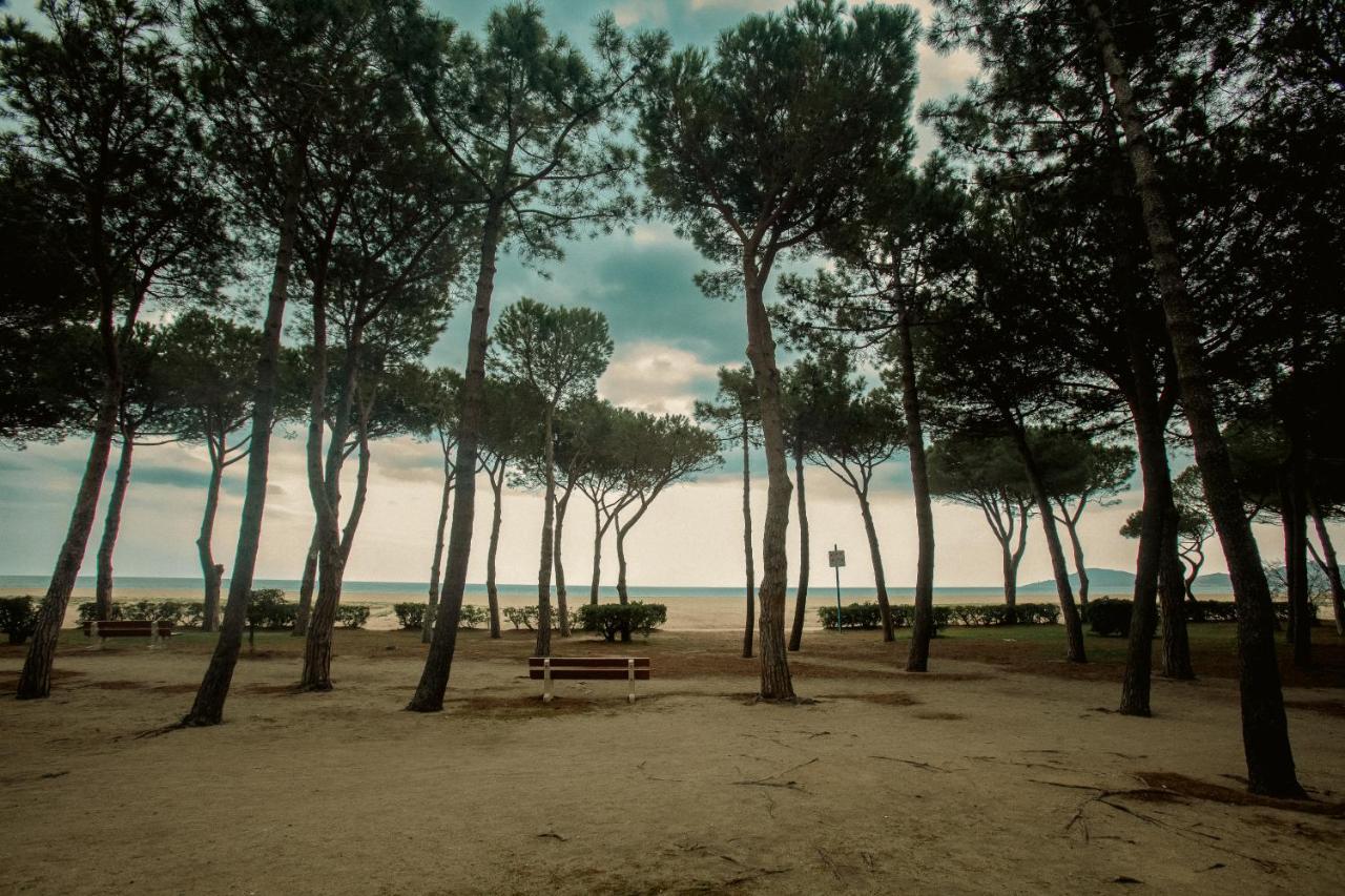 Studio Les Pieds Dans L'Eau Argeles Sur Mer Exterior foto